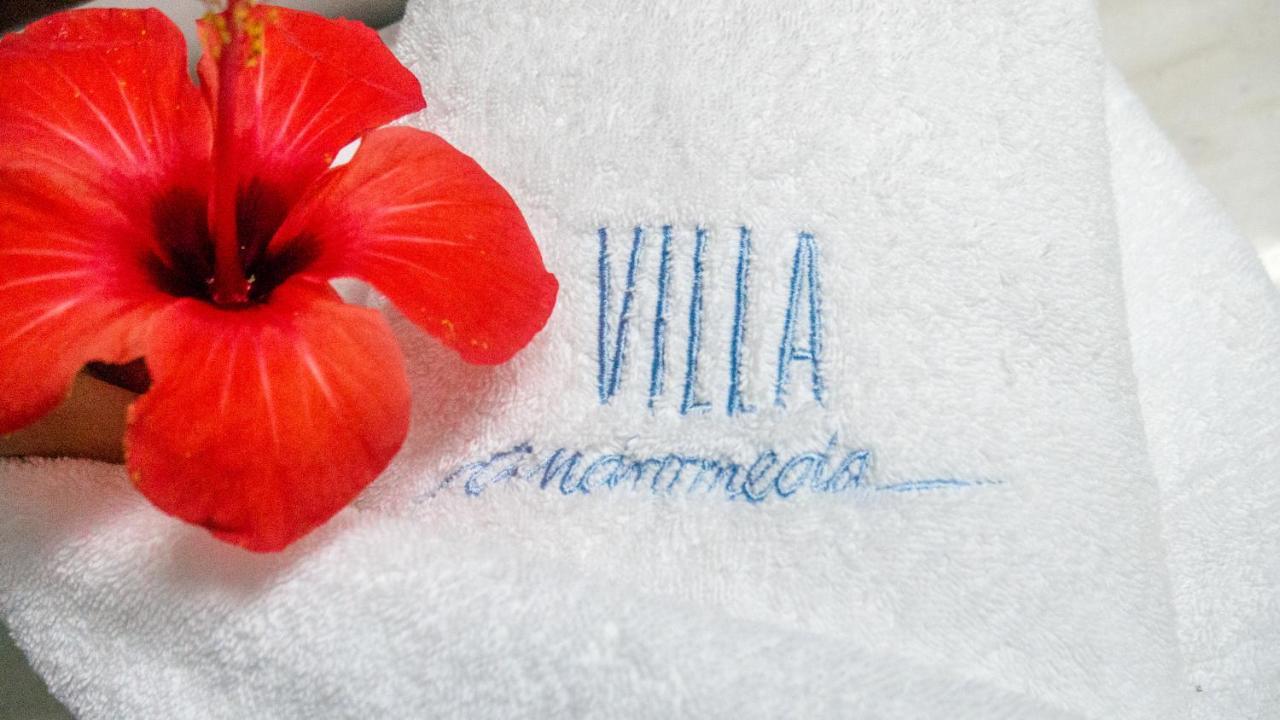 Villa Andromeda Chania  Luaran gambar